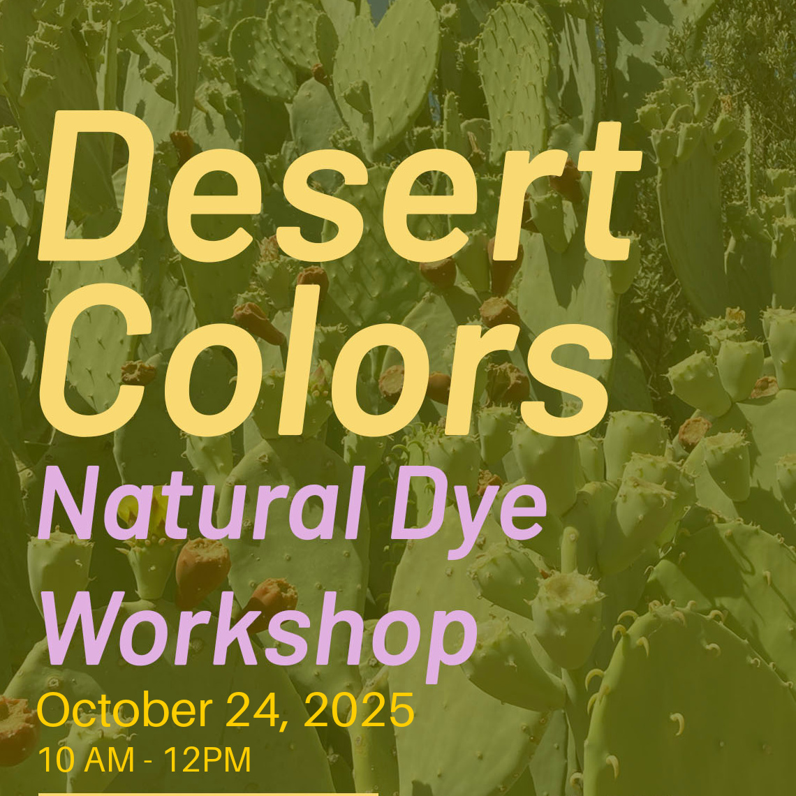 Desert Colors Natural Dye Workshop Presented by Eva Gabriella Flynn
